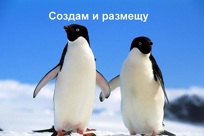 Создам и размещу объявление профессионально создам и отредактирую
