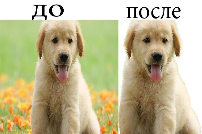 Удаление фона любой сложности