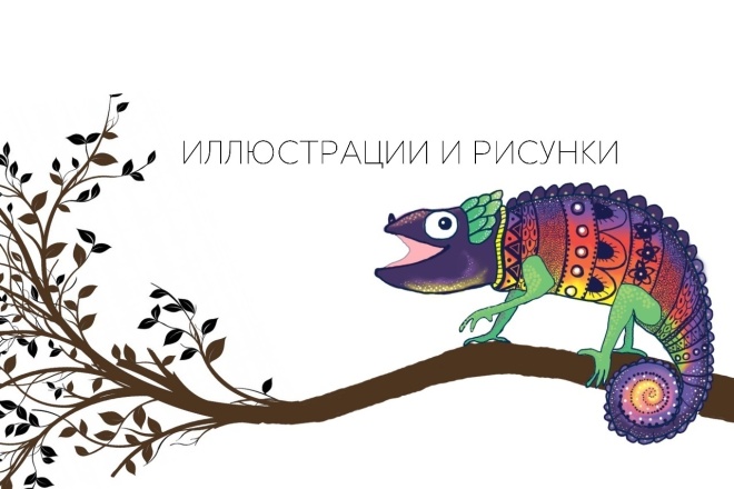 Нарисую иллюстрацию