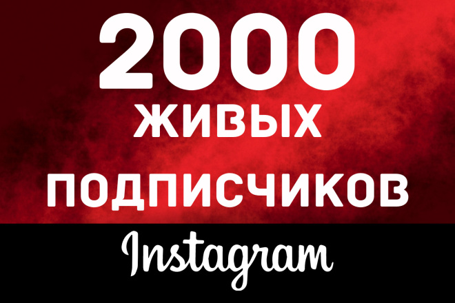 2000 реальных подписчиков В Instagram