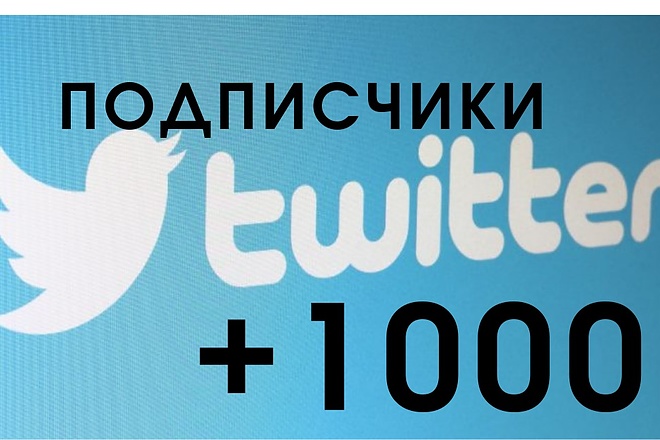 1000 Подписчиков