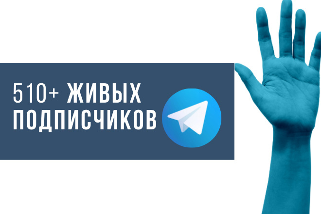 510 живых подписчиков в ваш Telegram канал, ручная работа