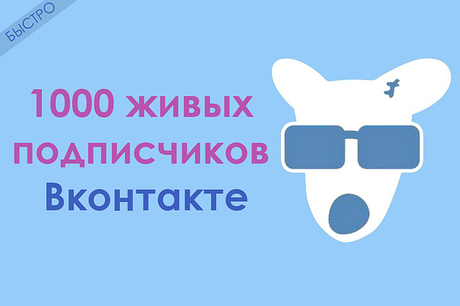 1000 живых подписчиков Вконтакте