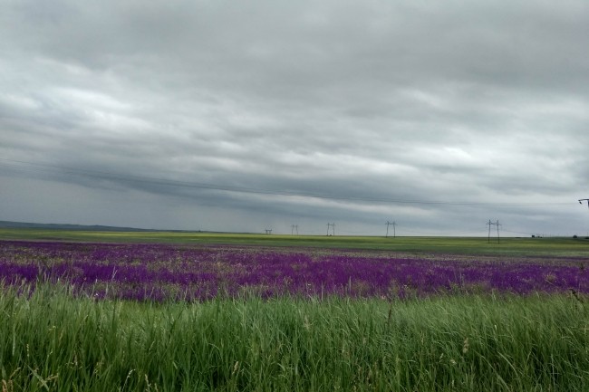 Сделаю цветокоррекцию фото