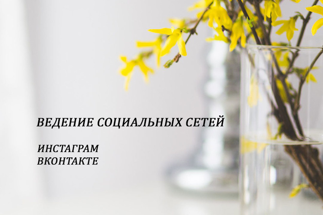 Ведение социальных сетей