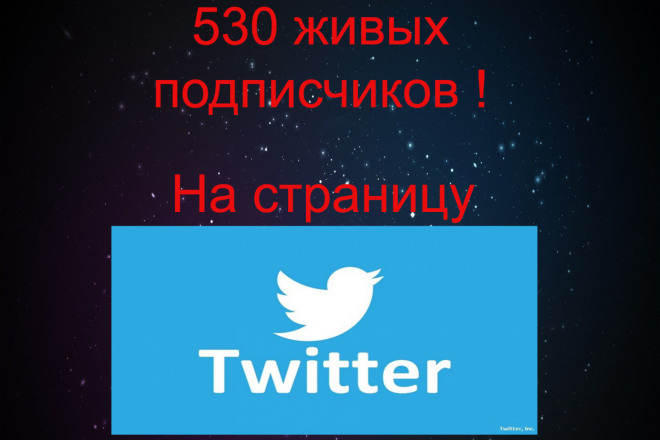 530 живых подписчиков в Twitter