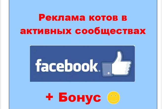 Реклама котов в Facebook - Опубликую запись о Ваших питомцах в группах