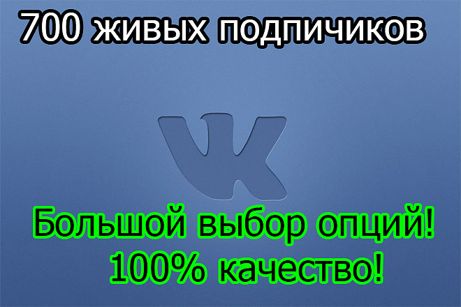 700 подписчиков - друзей Вконтакте на Ваш профиль или в группу
