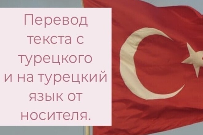 Перевод с турецкого на русский язык