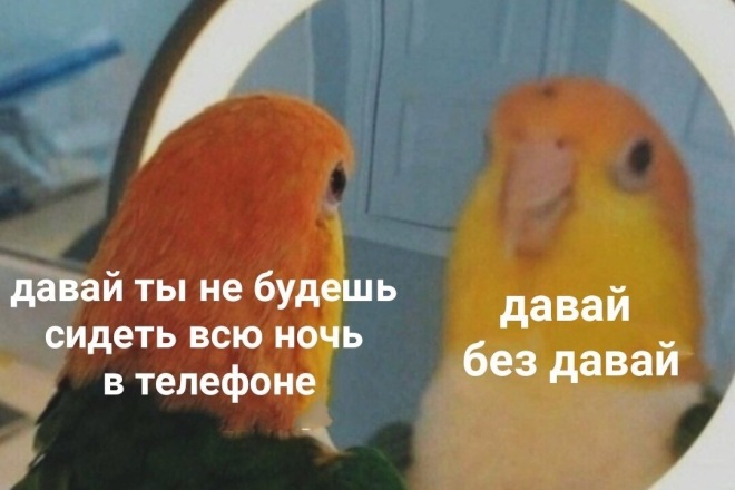 Напечатаю текст с аудио, видео, грамотно, с соблюдением пунктуации