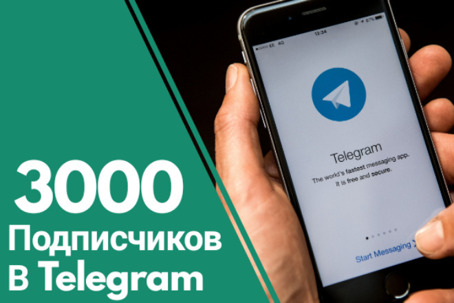 3000 подписчиков в Telegram