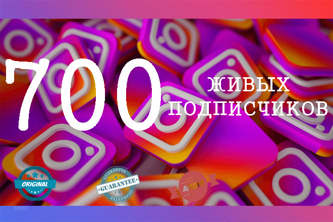 700 подписчиков, максимальная скорость, гарантия качества