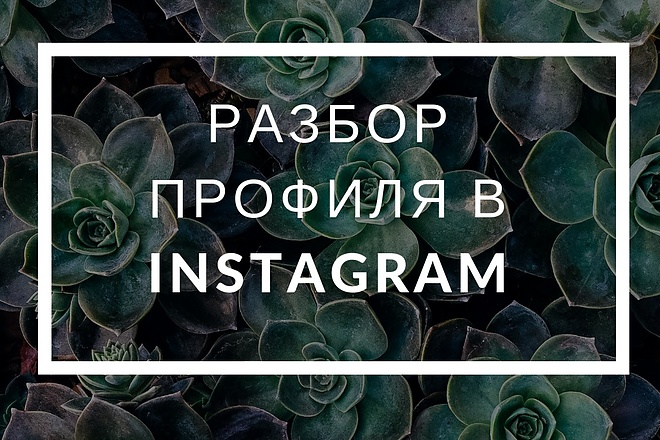 Разбор профиля Instagram