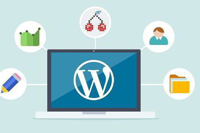 Создание сайта на Wordpress