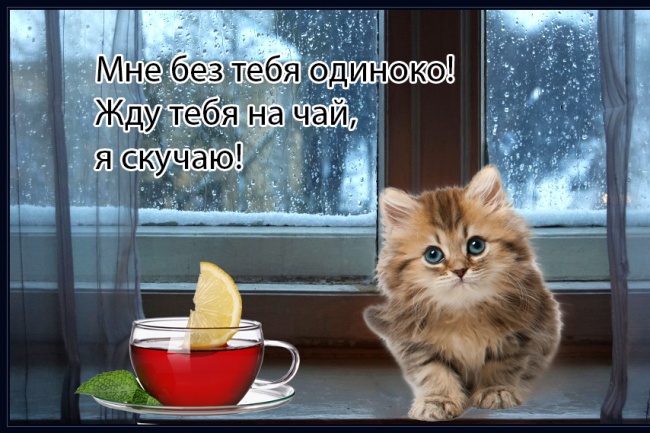 Создание оригинальной открытки для поздравлений