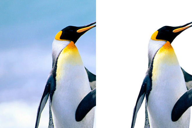 Уберу Фон с ваших фотографий