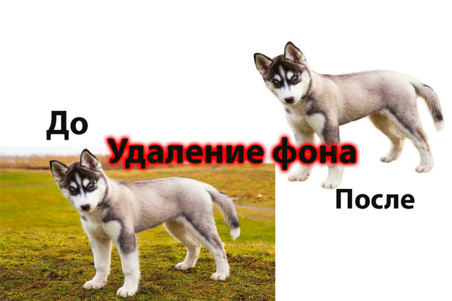 Изменю любой фон или удалю фон. Сотрудничество с интернет-магазином
