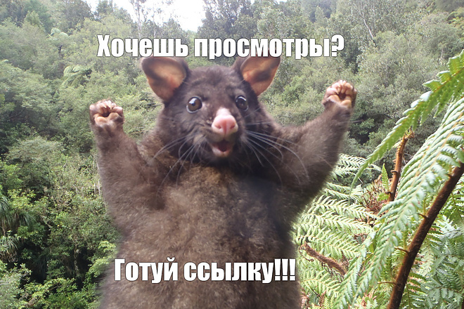 Наберу просмотры вам на ютубе