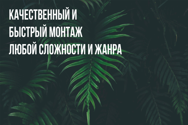 Сделаю монтаж видео любой сложности