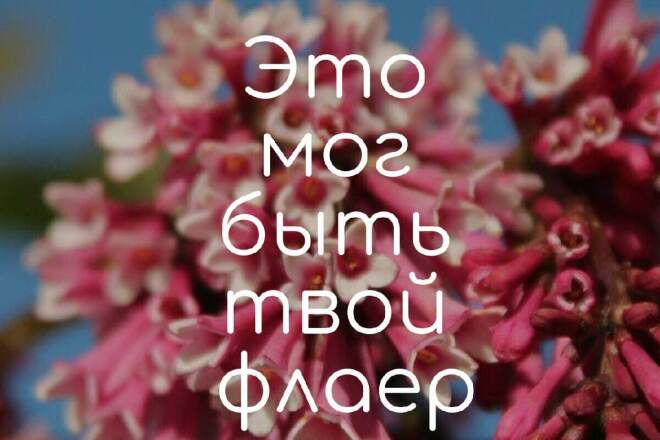 Создам дизайн листовки, флаера, визитки, открытки и прочее