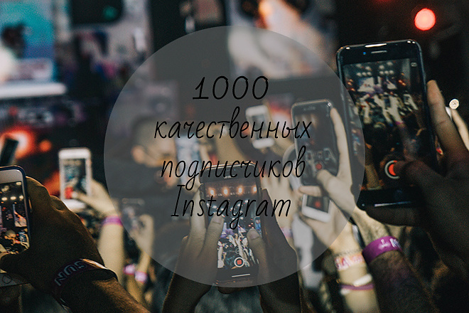 1000 качественных подписчиков Instagram