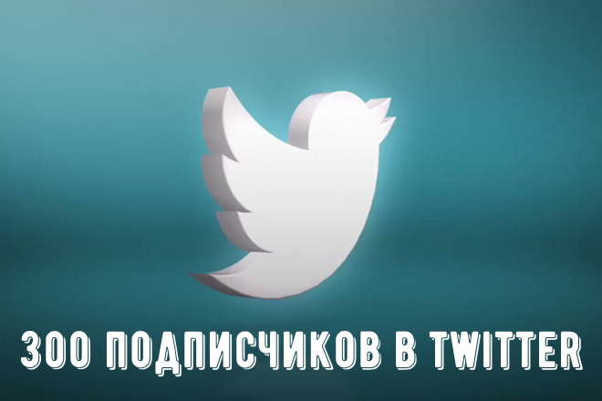 300 подписчиков в Twitter