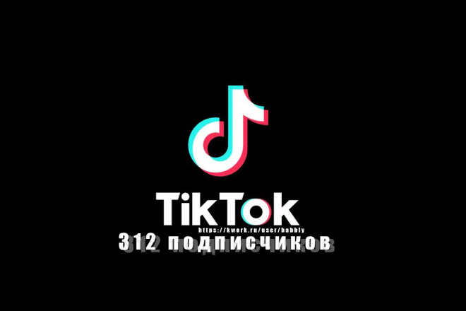 312 подписчиков на Тик-Ток