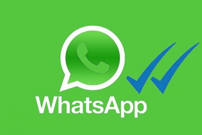 WhatsApp рассылка сообщений