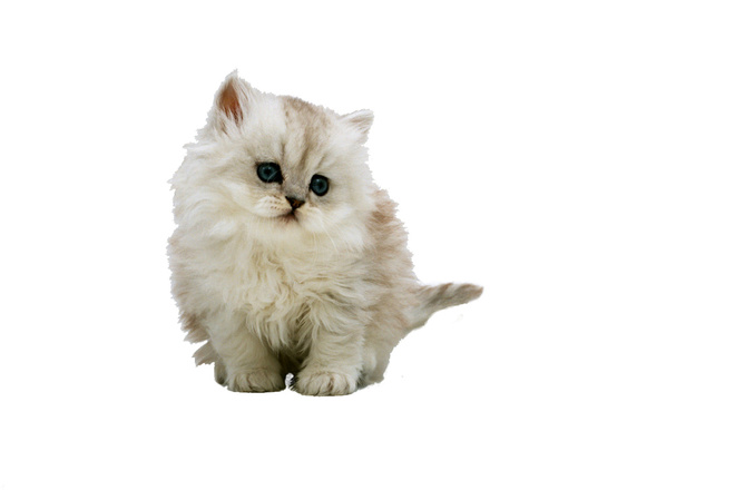 Уберу задний фон с фотографии. I will remove the background