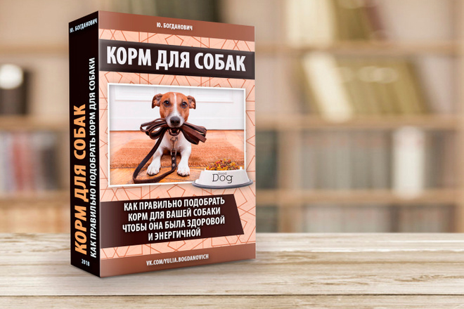 Обложка книги, курса или инфопродукта в 3D