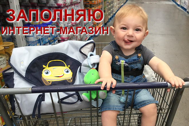 Заполняю карточки интернет-магазина товарами