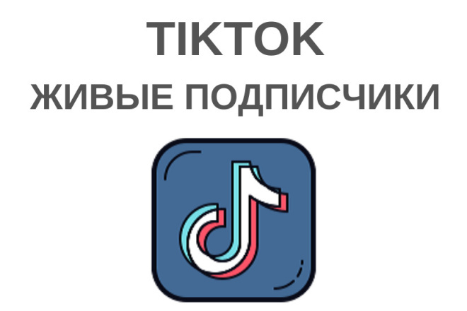 500 живых подписчиков в Тик Ток. Продвижение TikTok