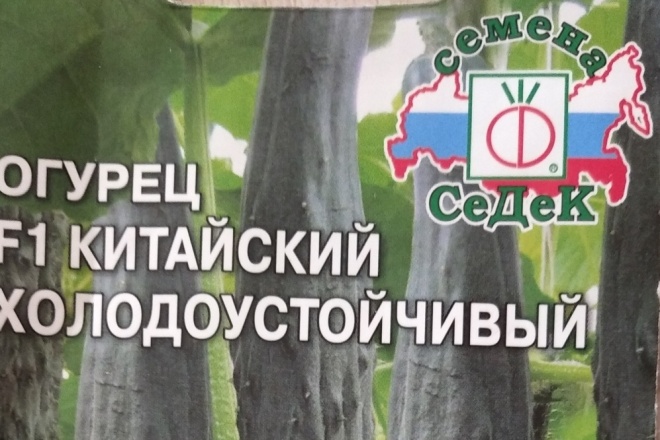 Разработка и создание красочных визиток листовок сертификатов