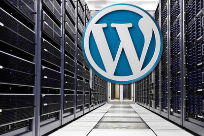 Создание сайта под ключ на платформе Wordpress