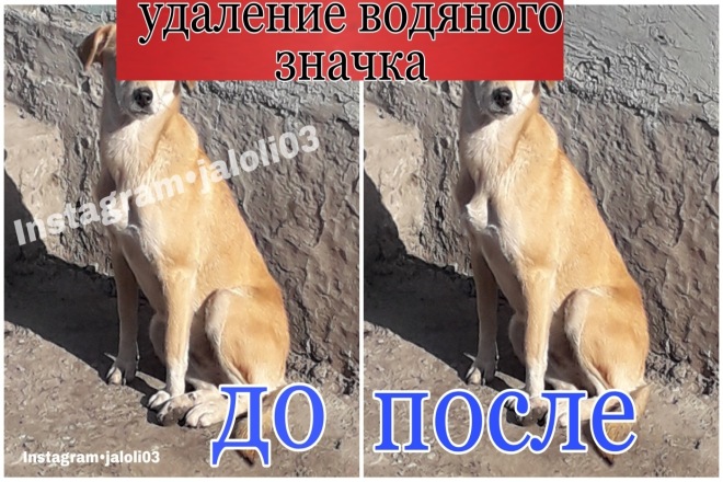 Удалит водяного значка