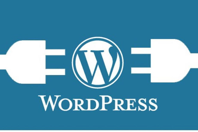 10 популярных премиум Wordpress тем