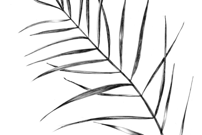 Скетч черной ручкой или карандашом