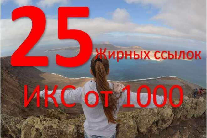 25 трастовых ссылок с ИКС от 1000+ бонус. Прогон через сетки PBN