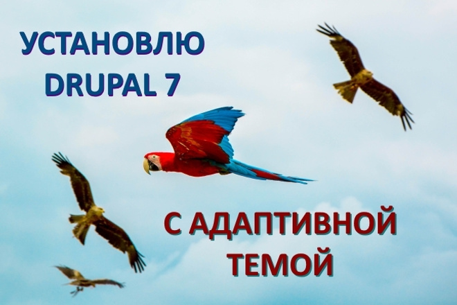 Установлю Drupal 7 с адаптивной темой