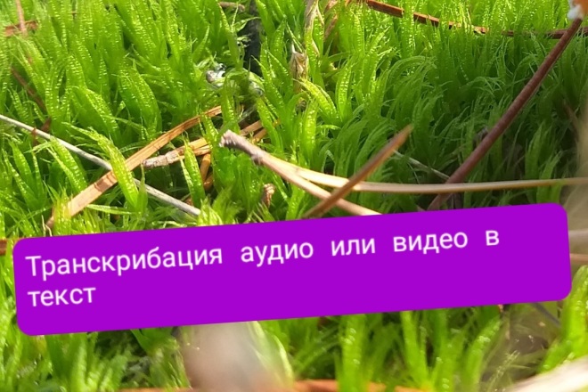 Транскрибация аудио или видел в текст