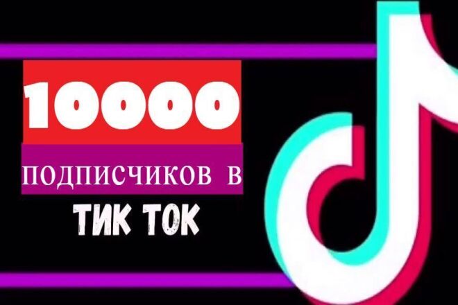 10000 подписчиков на аккаунт в Тик Ток