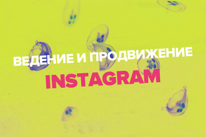 Ведение и продвижение Instagram