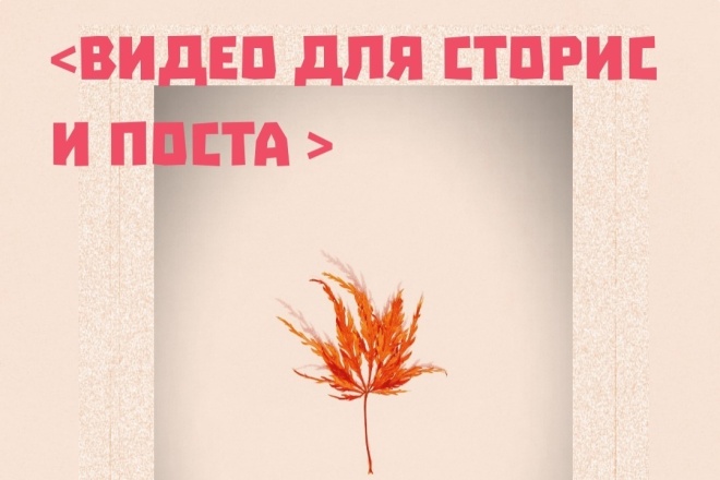 Видео для сторис и постов в Инстаграм. Мы вас удивим