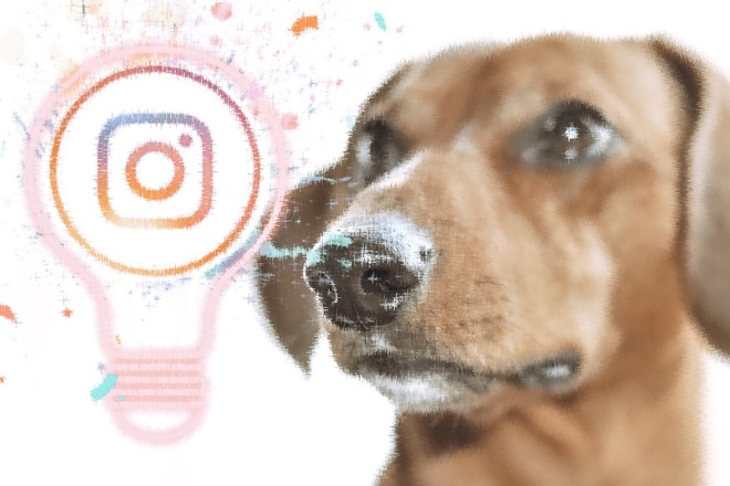 Аудит аккаунта Instagram