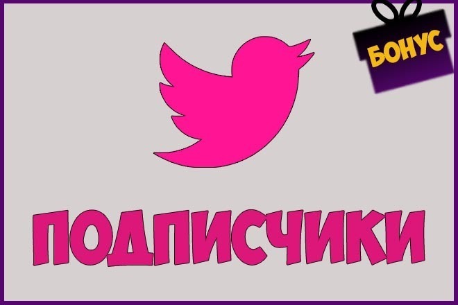 1000 живые подписчики Twitter, без программ и ботов +Бонус