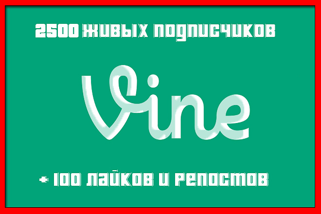 2500 ЖИВЫХ подписчиков в Vine