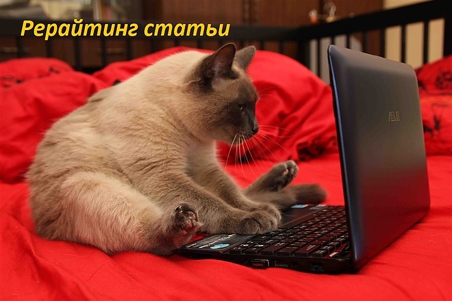 Рерайтинг статьи