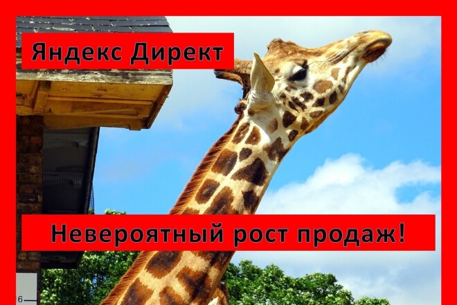 Креативная настройка РСЯ и на поиске. Онлайн 24-7 Напиши