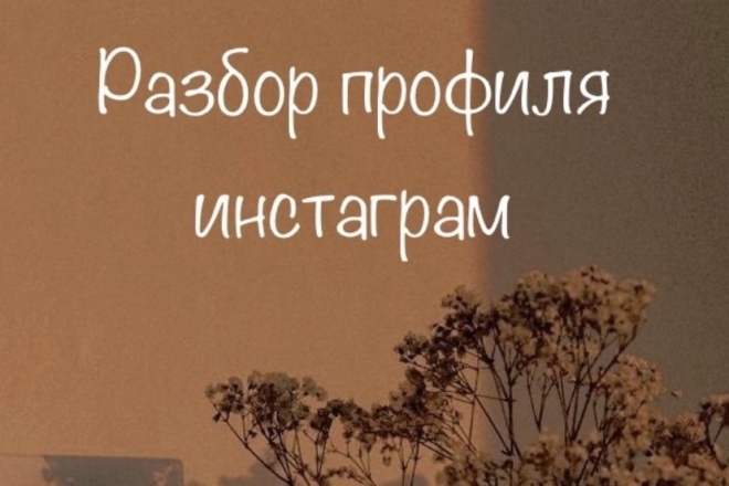 Разбор профиля инстаграм