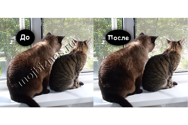 Уберу водяной знак с фото